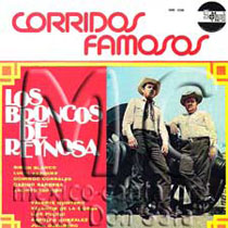 Los Broncos de Reynosa