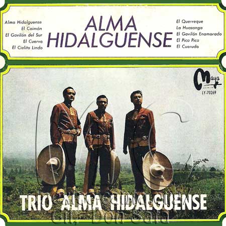 Portada - Ama hidalguense