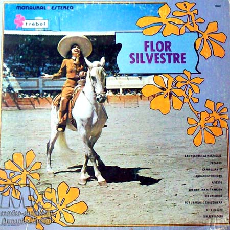 Portada - Flor Silvestre