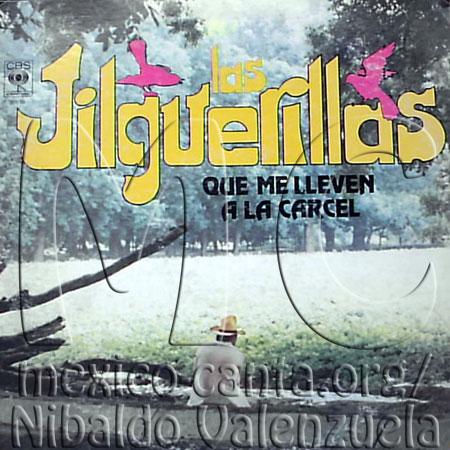 Portada - Que me lleven