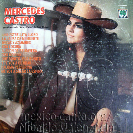 Portada - Mercedes Castro