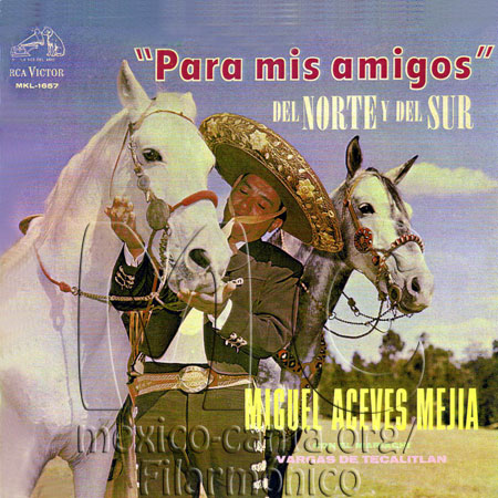 Frente Miguel Aceves Mejía